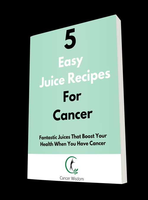 Gerson Juice Recipes Pdf Dandk Organizer