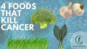 best cancer fighting foods
