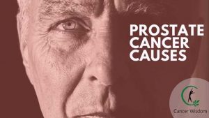 prostate cancer causes