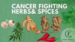 cancer fighting herbs
